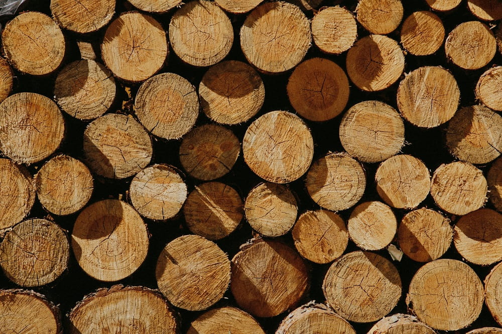 Is Pine Wood Safe for Your Fire Pit?